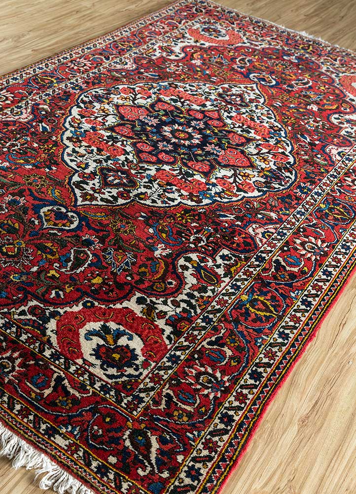 aalam red and orange wool hand knotted Rug - FloorShot