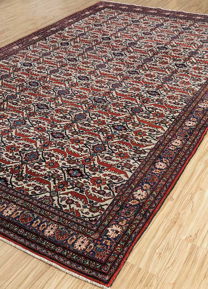 aalam red and orange wool hand knotted Rug - FloorShot