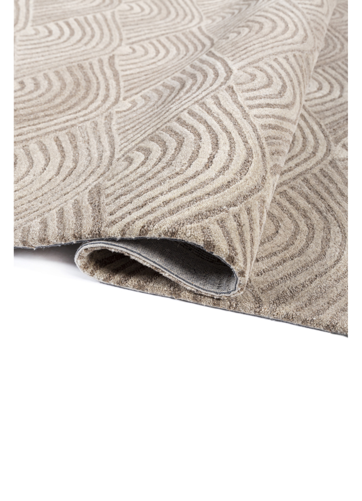 pathways beige and brown wool hand tufted Rug - FloorShot