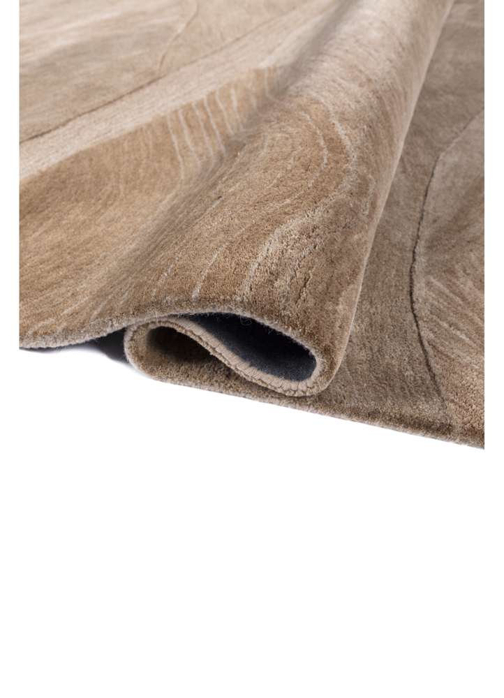 cera beige and brown wool and viscose hand tufted Rug - FloorShot