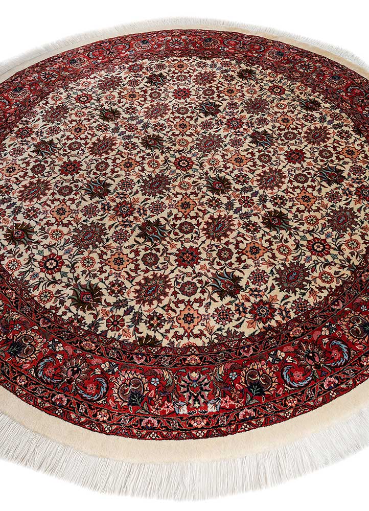 aalam ivory wool hand knotted Rug - FloorShot
