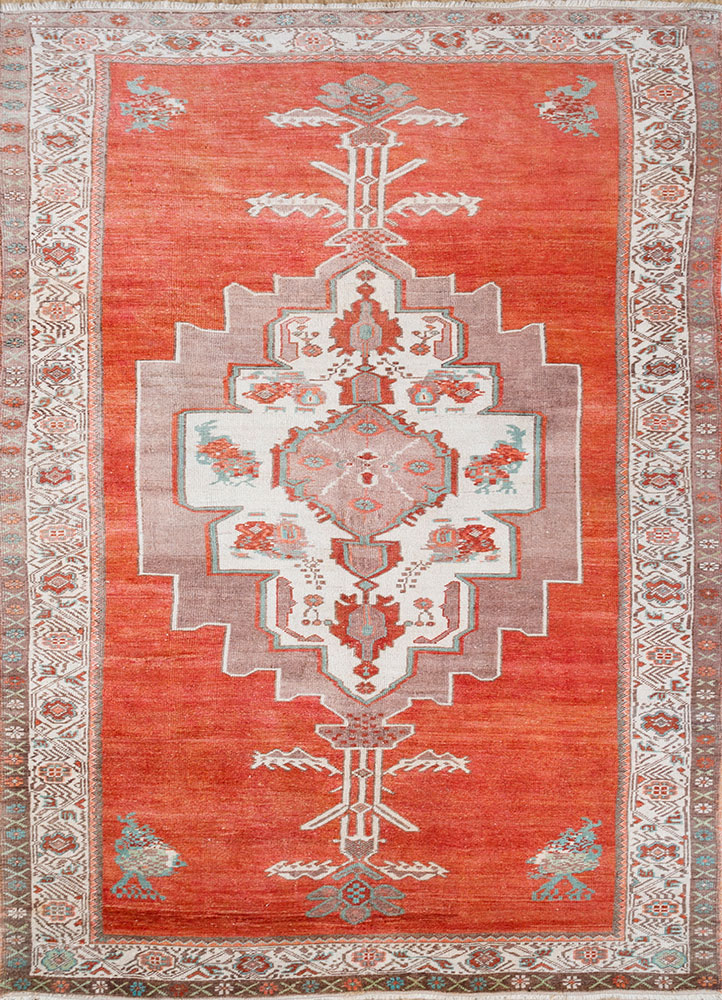 nuray red and orange wool hand knotted Rug - HeadShot