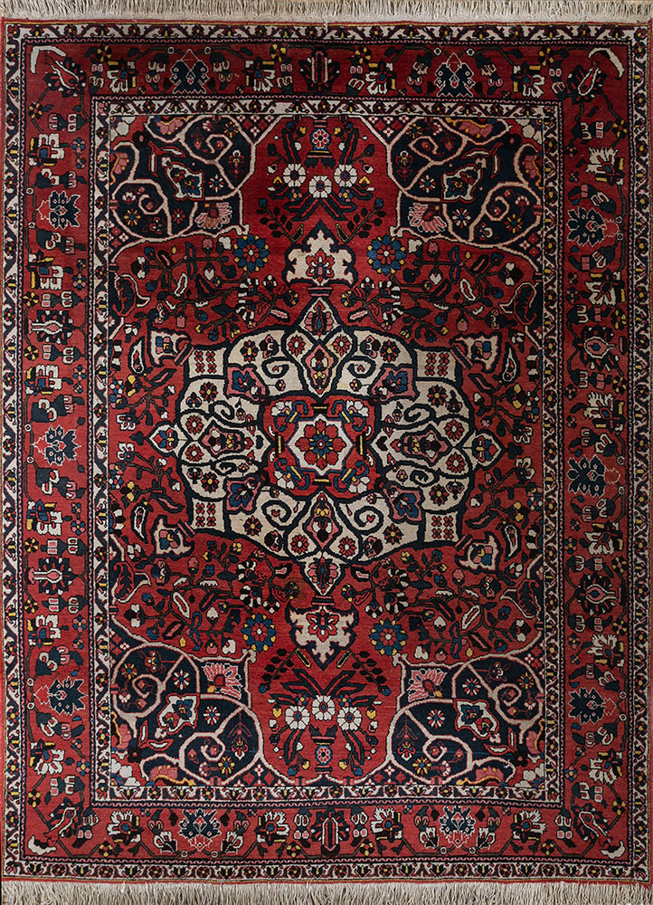 aalam red and orange wool hand knotted Rug - HeadShot