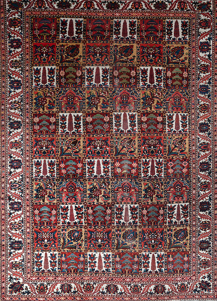 aalam red and orange wool hand knotted Rug - HeadShot