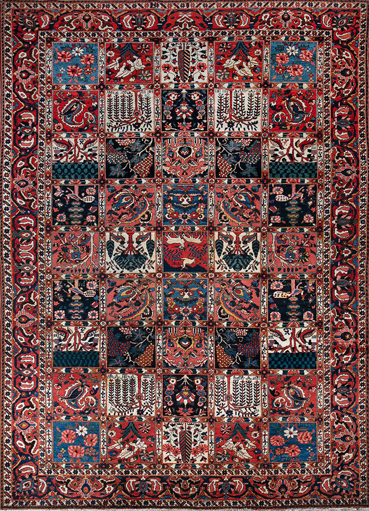 aalam red and orange wool hand knotted Rug - HeadShot