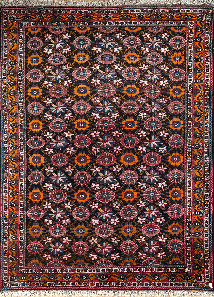 aalam beige and brown wool hand knotted Rug - HeadShot