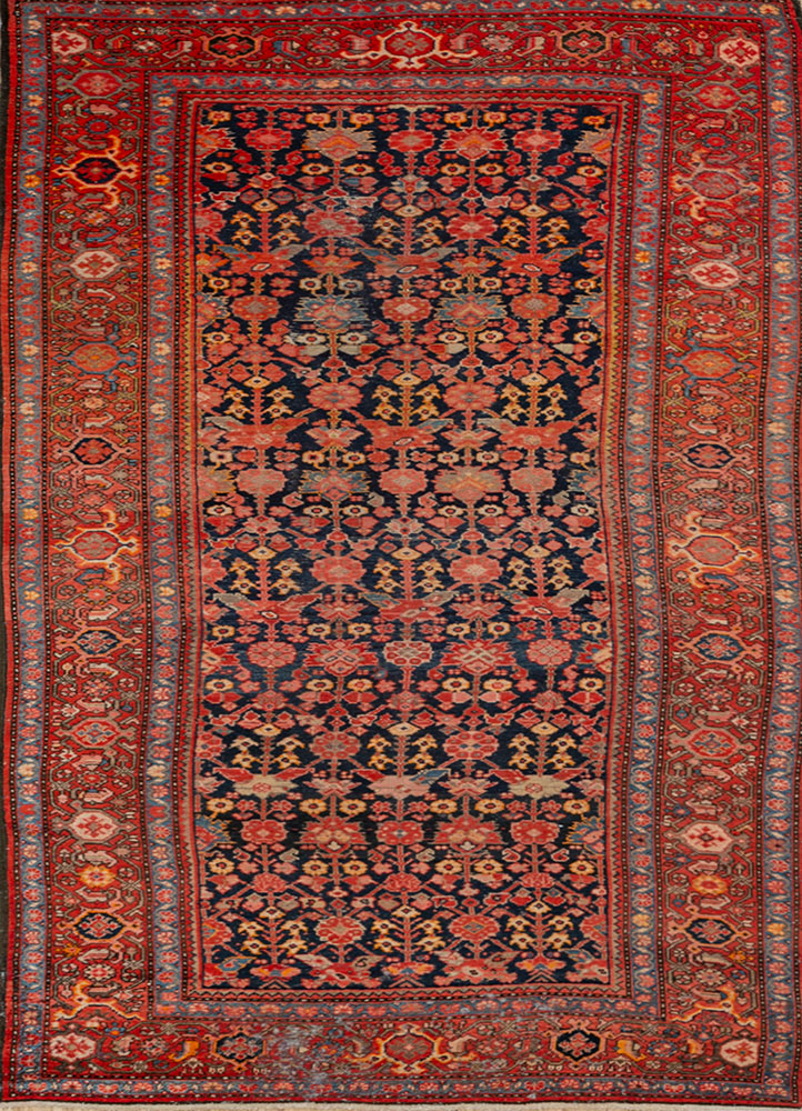 aalam red and orange wool hand knotted Rug - HeadShot