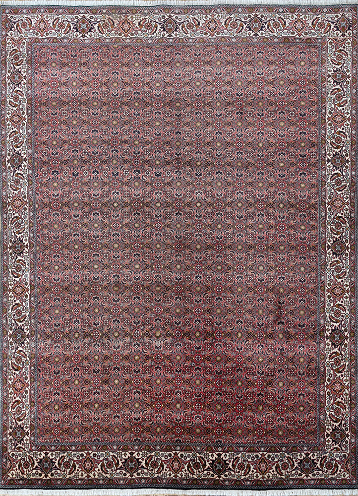 aalam red and orange wool hand knotted Rug - HeadShot