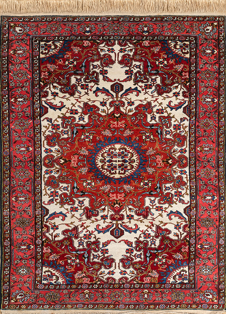 aalam ivory wool hand knotted Rug - HeadShot