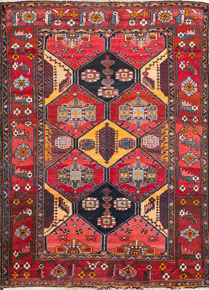 kiaan red and orange wool hand knotted Rug - HeadShot