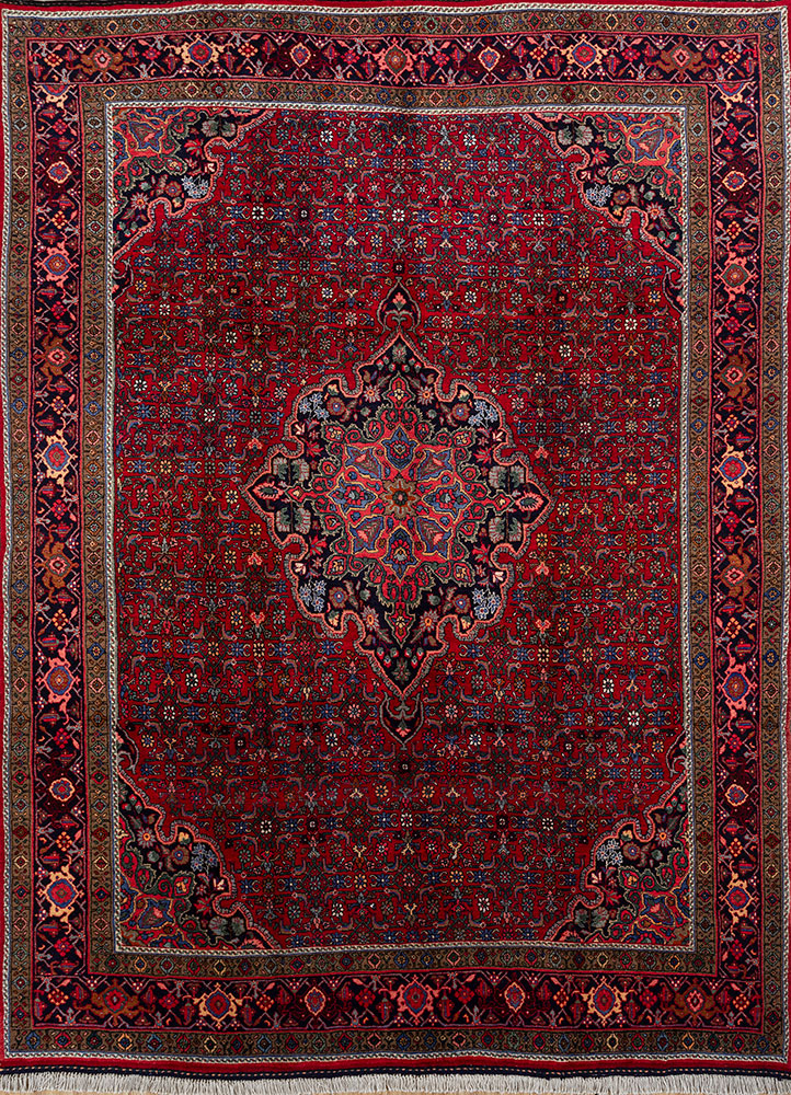aalam red and orange wool hand knotted Rug - HeadShot