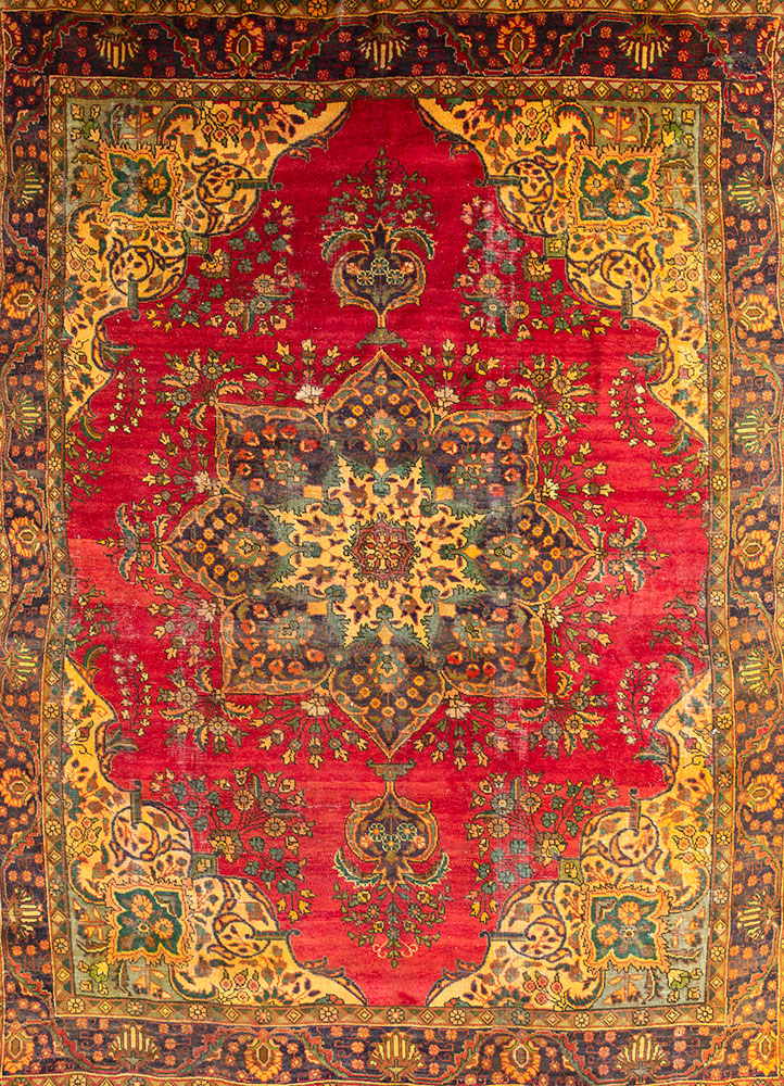 aalam red and orange wool hand knotted Rug - HeadShot