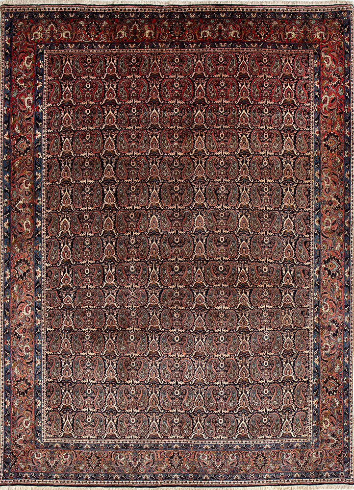 aalam red and orange wool hand knotted Rug - HeadShot