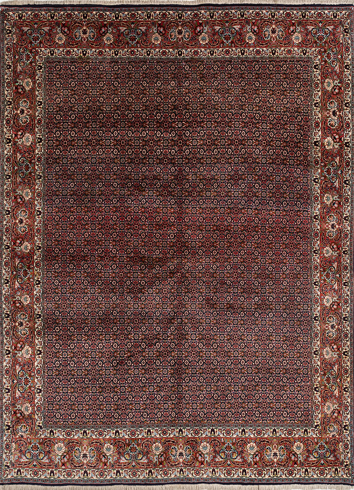 aalam pink and purple wool hand knotted Rug - HeadShot