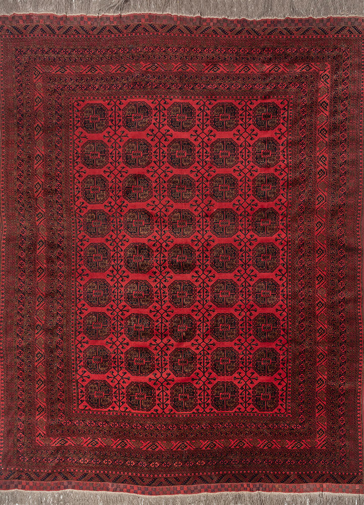 kiaan red and orange wool hand knotted Rug - HeadShot