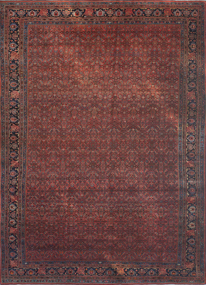 aalam blue wool hand knotted Rug - HeadShot