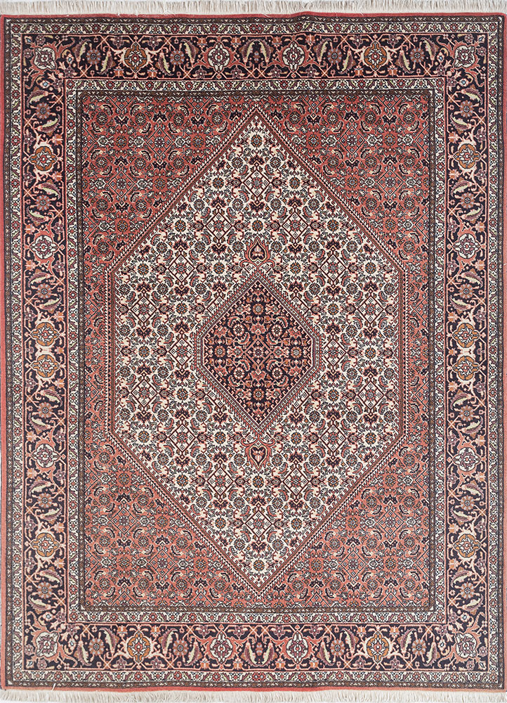 aalam beige and brown wool hand knotted Rug - HeadShot