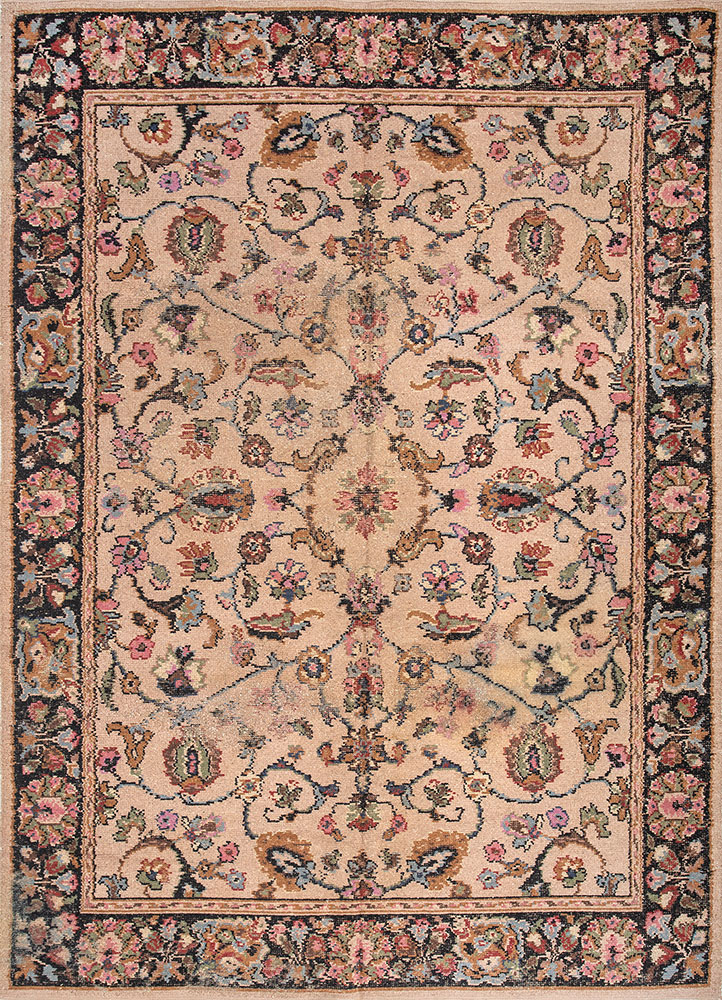 aalam beige and brown wool hand knotted Rug - HeadShot
