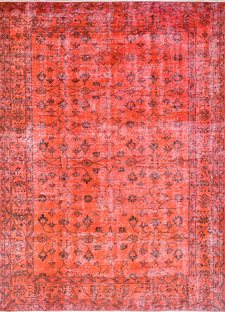 lacuna red and orange wool hand knotted Rug - HeadShot