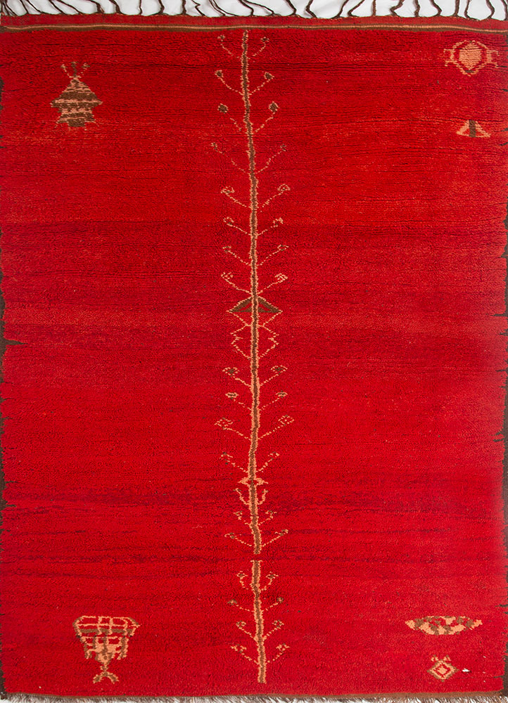 nayaab red and orange wool flat weaves Rug - HeadShot