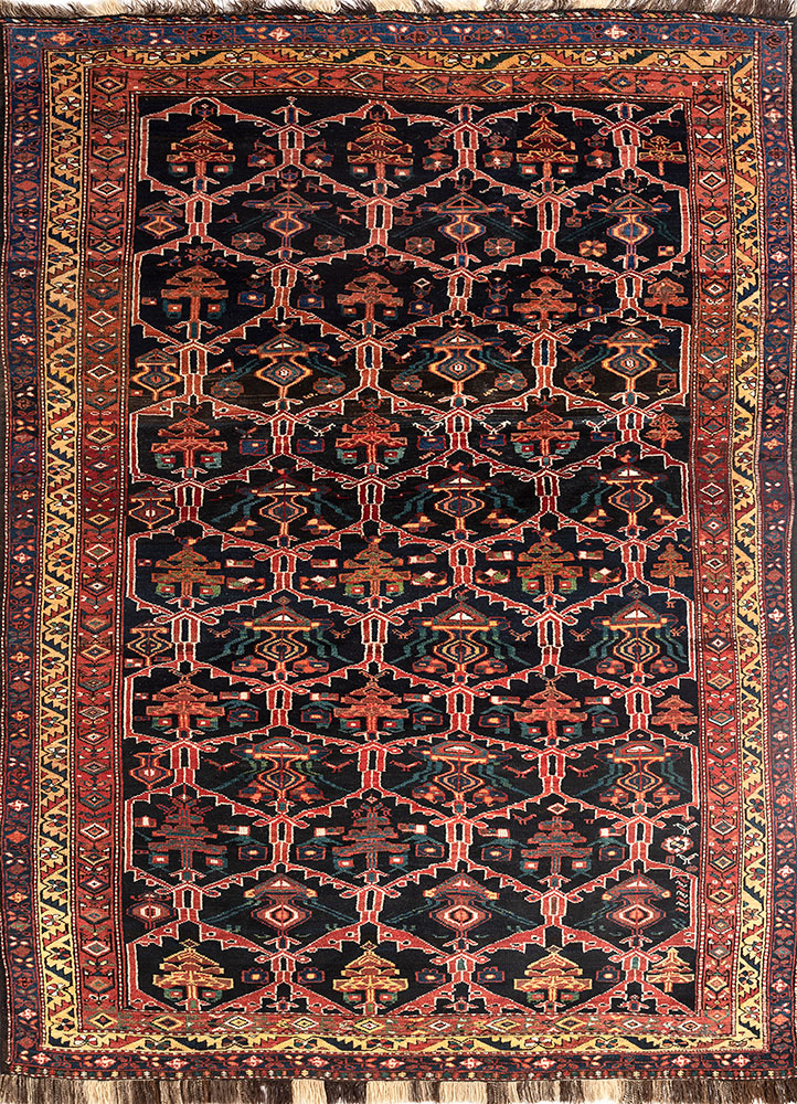 kiaan blue wool hand knotted Rug - HeadShot