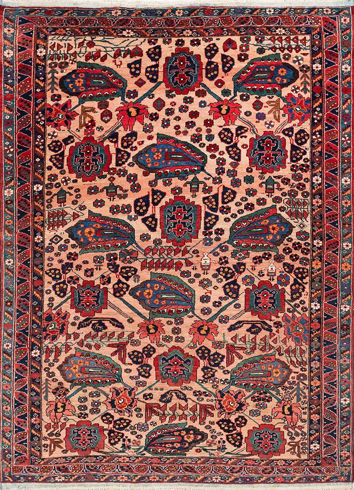 aalam red and orange wool hand knotted Rug - HeadShot