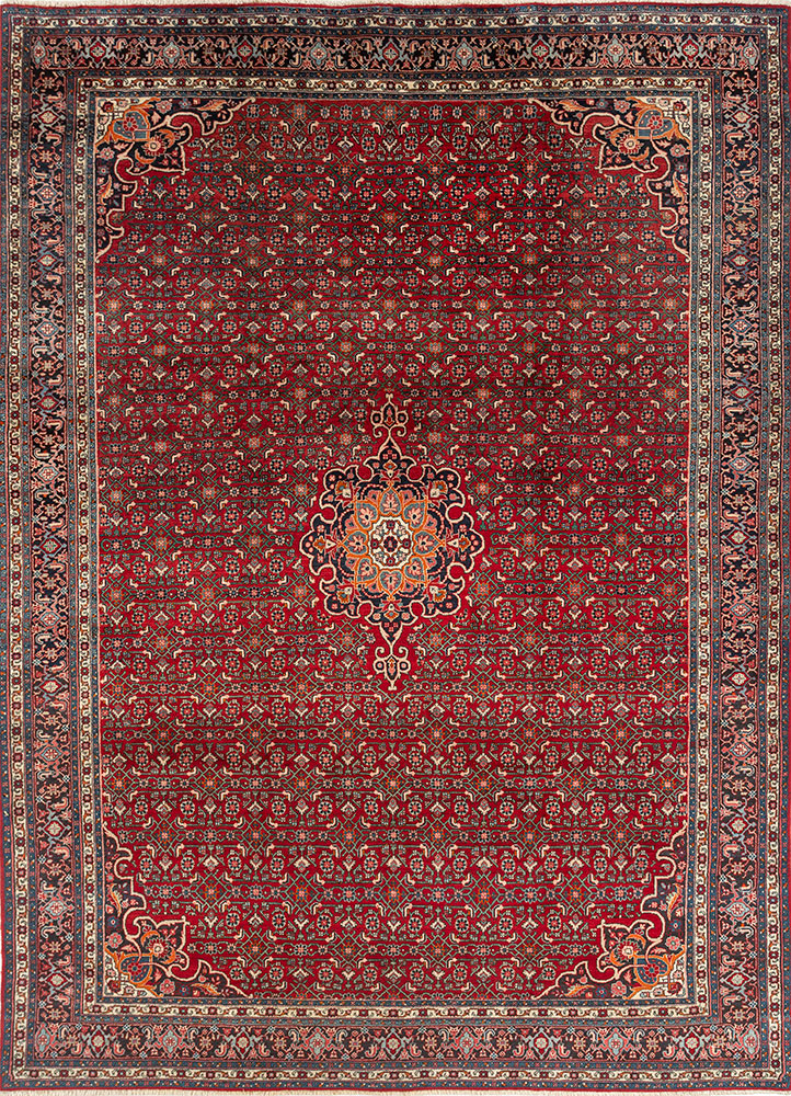 aalam red and orange wool hand knotted Rug - HeadShot