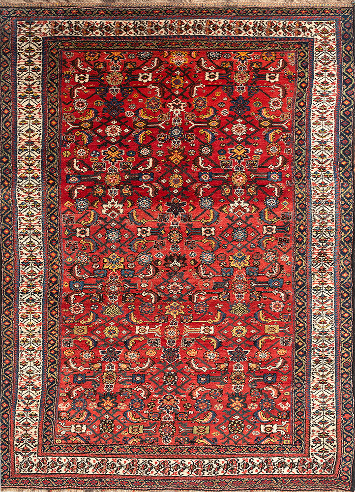 aalam pink and purple wool hand knotted Rug - HeadShot