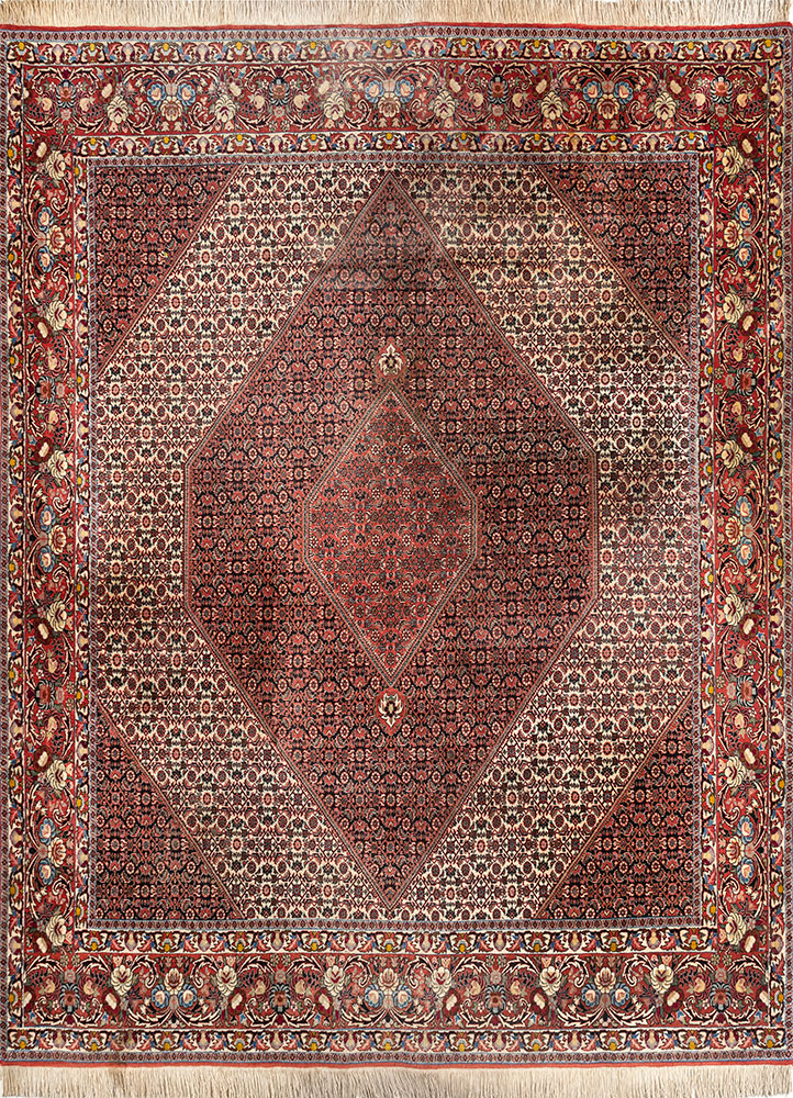 aalam ivory wool hand knotted Rug - HeadShot