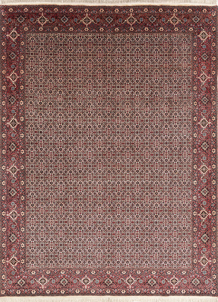 aalam ivory wool hand knotted Rug - HeadShot