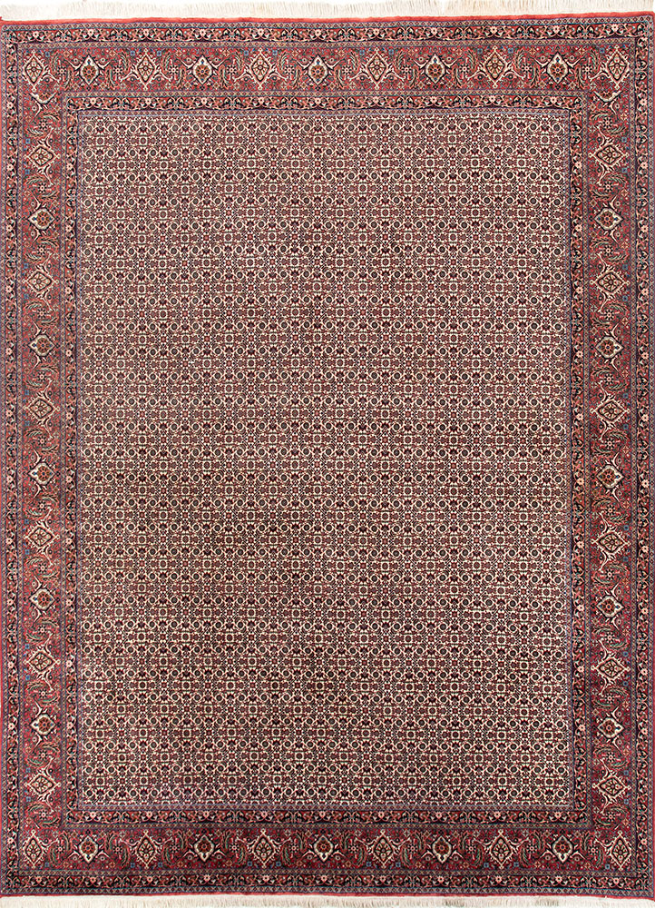 aalam ivory wool hand knotted Rug - HeadShot