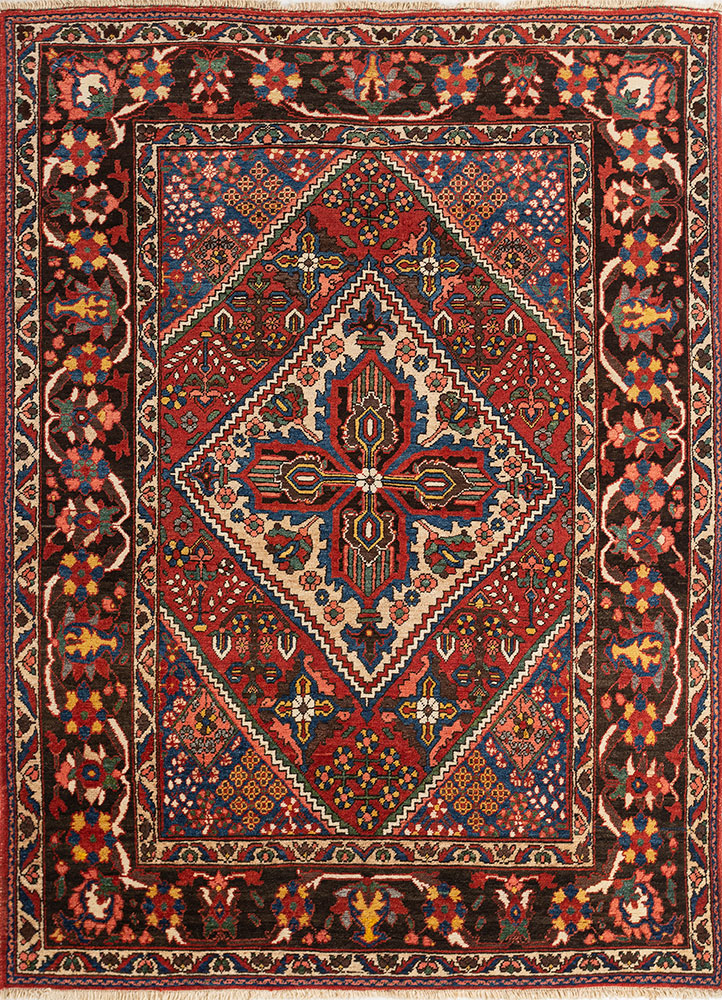 aalam red and orange wool hand knotted Rug - HeadShot