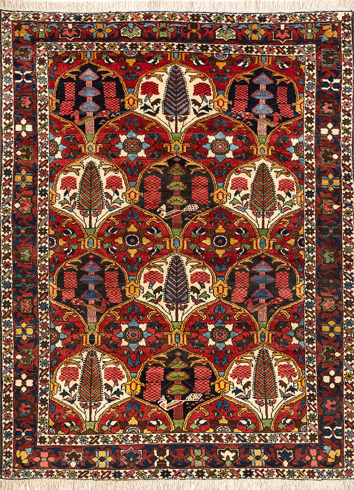 aalam red and orange wool hand knotted Rug - HeadShot