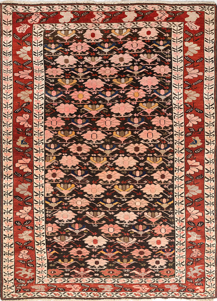 kiaan beige and brown wool hand knotted Rug - HeadShot