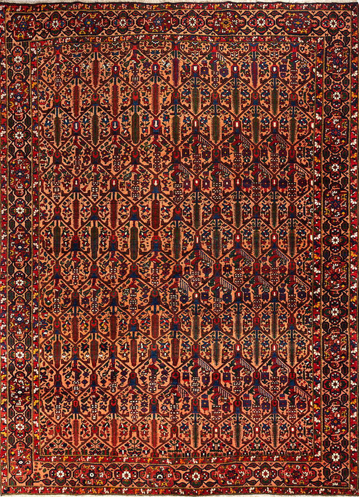 aalam red and orange wool hand knotted Rug - HeadShot