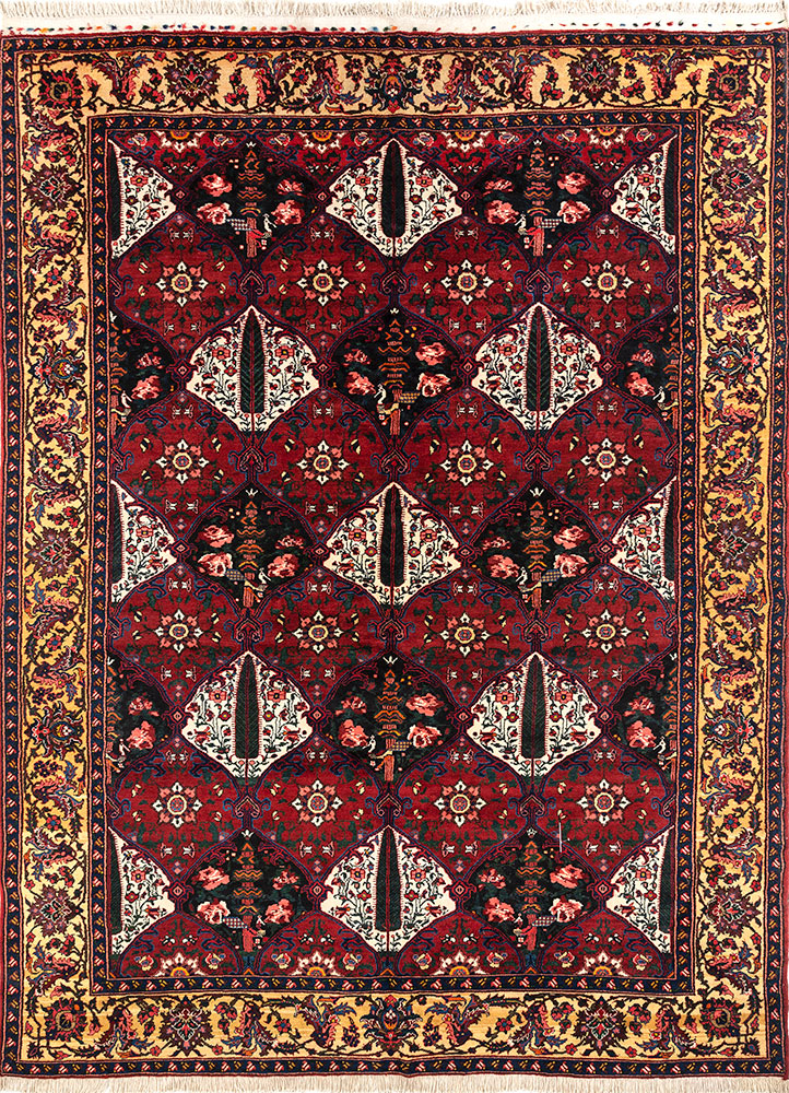 aalam red and orange wool hand knotted Rug - HeadShot