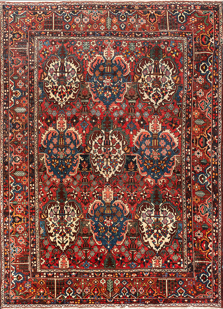 aalam red and orange wool hand knotted Rug - HeadShot
