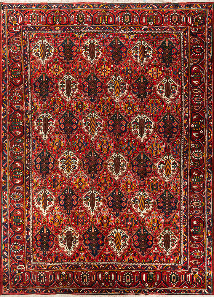 aalam red and orange wool hand knotted Rug - HeadShot