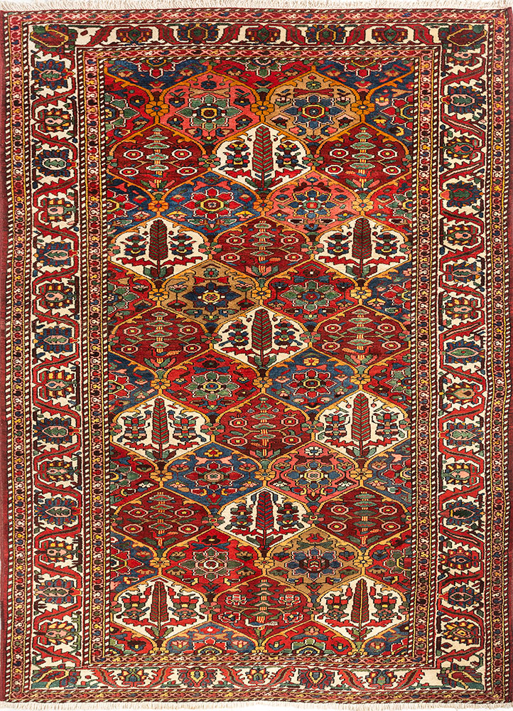 aalam red and orange wool hand knotted Rug - HeadShot