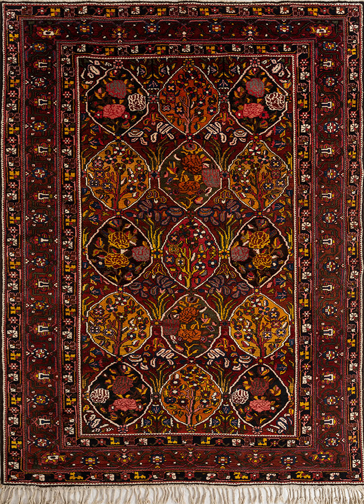 aalam gold wool hand knotted Rug - HeadShot