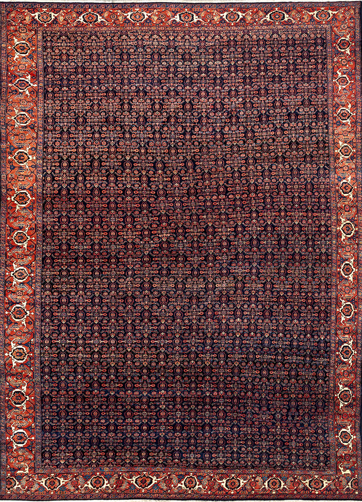aalam blue wool hand knotted Rug - HeadShot