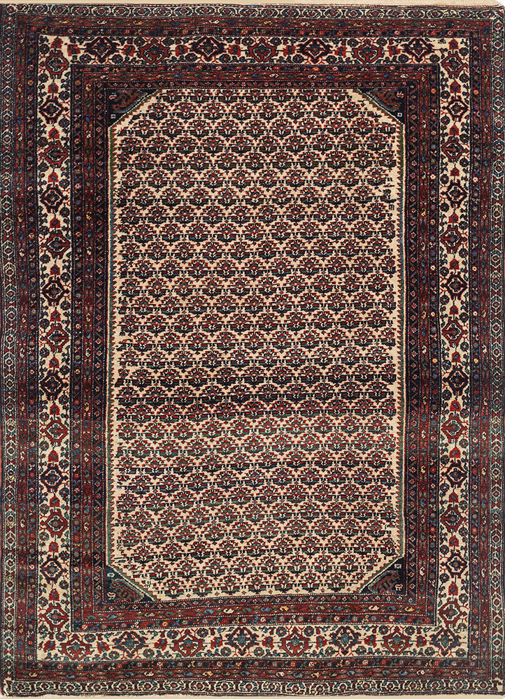 aalam beige and brown wool hand knotted Rug - HeadShot