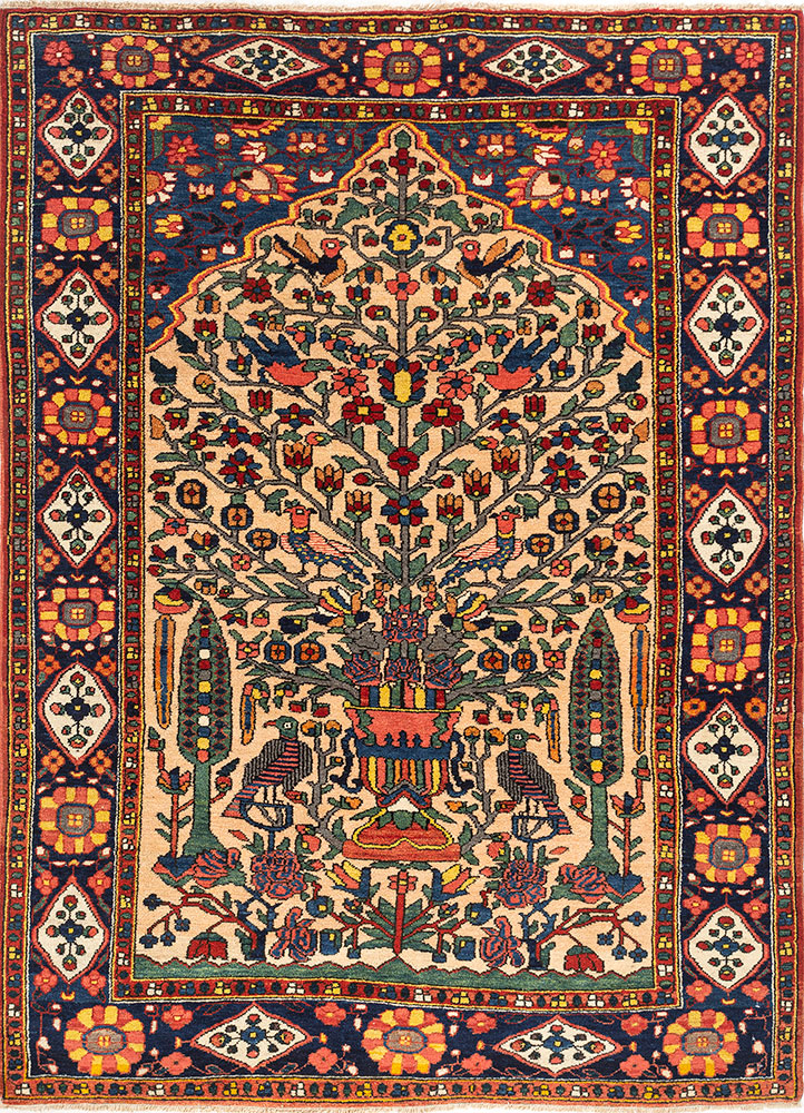 aalam red and orange wool hand knotted Rug - HeadShot