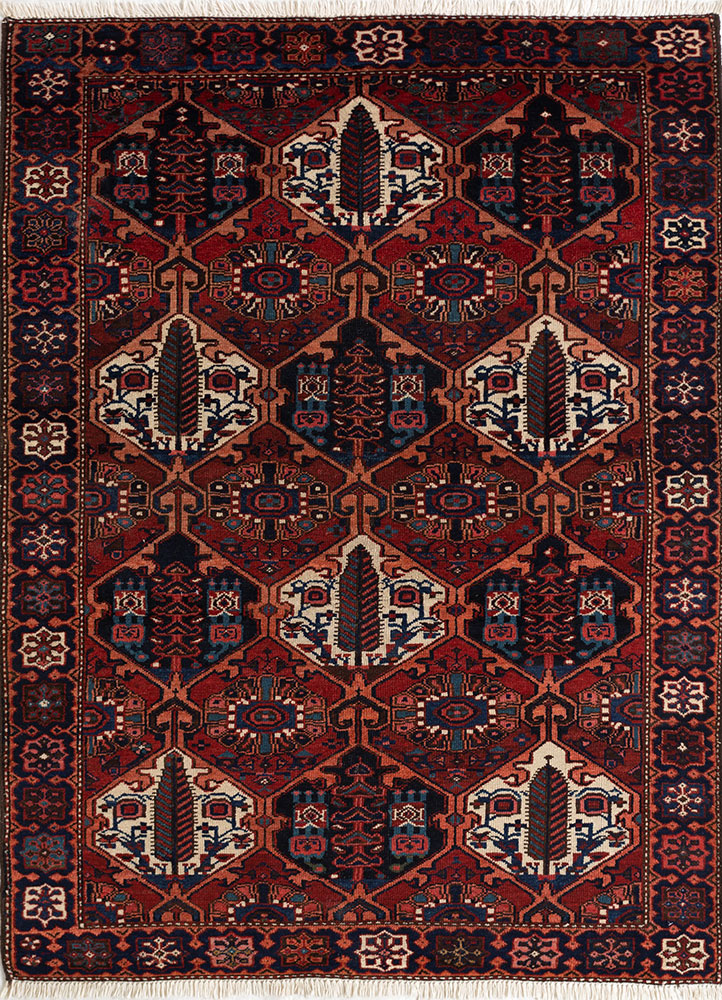 aalam red and orange wool hand knotted Rug - HeadShot