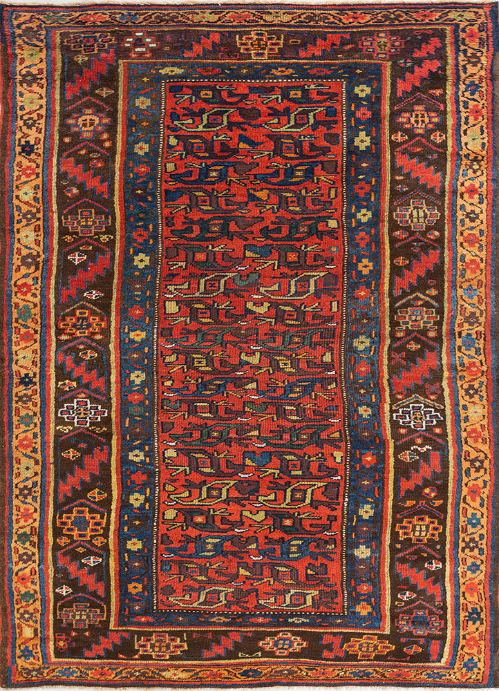 kiaan red and orange wool hand knotted Rug - HeadShot