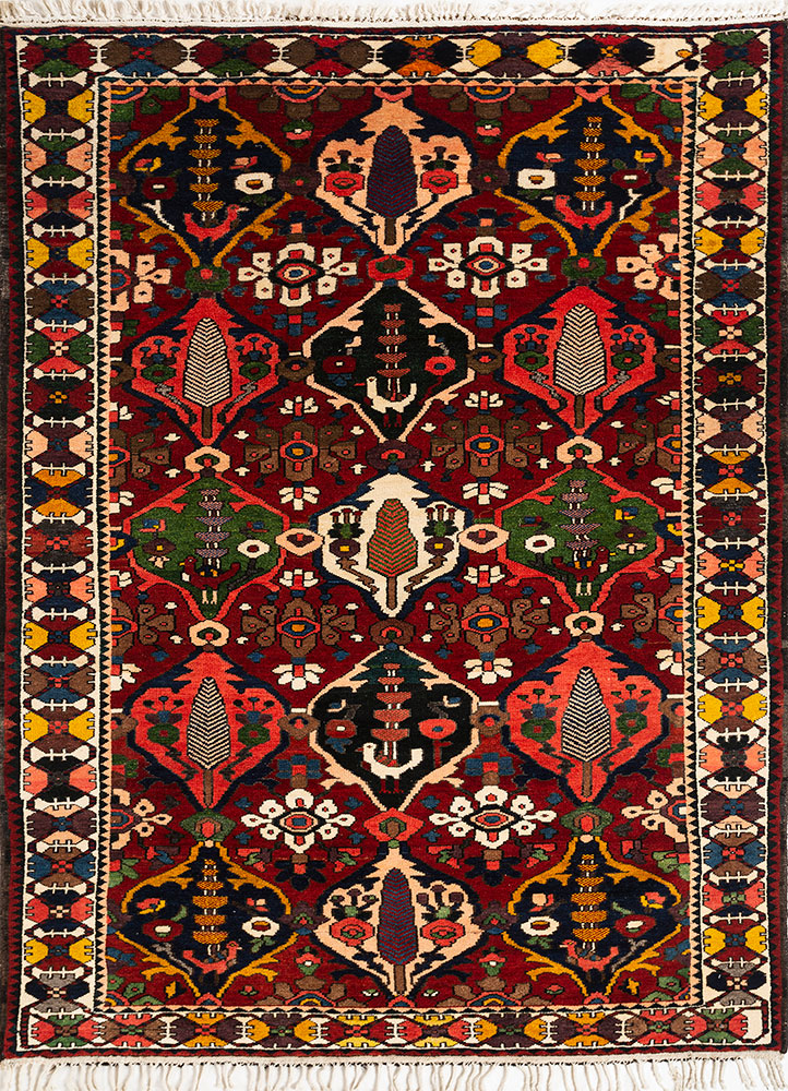 aalam red and orange wool hand knotted Rug - HeadShot