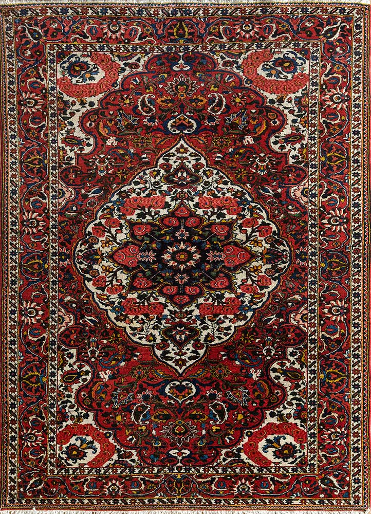 aalam red and orange wool hand knotted Rug - HeadShot