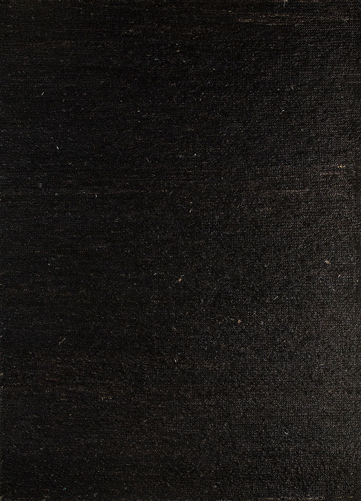 hula beige and brown jute and hemp hand knotted Rug - HeadShot