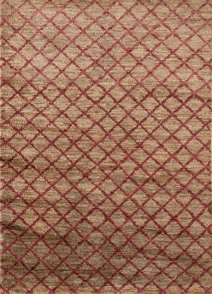 hula beige and brown jute and hemp hand knotted Rug - HeadShot