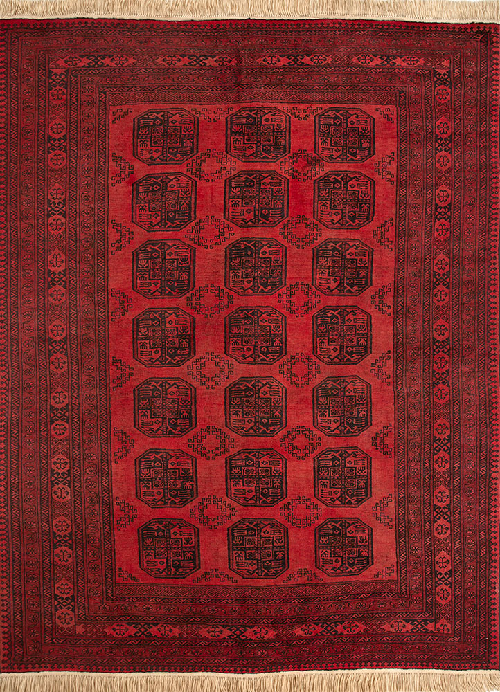 kiaan red and orange wool hand knotted Rug - HeadShot